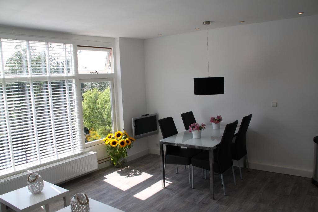 Appartement De Zeester Zandvoort Rom bilde